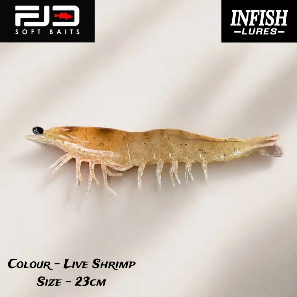 Giant Live Shrimp